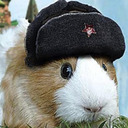 blog logo of socialist guinea pigs
