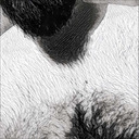 blog logo of Another bearded blogger