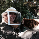 blog logo of My journey into beekeeping.