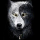 blog logo of WolfDancer2015