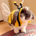 blog logo of bee's snugglebook