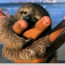blog logo of Beach Sloth