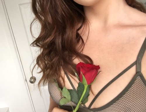 lilypostspics:Tumblr followers, will you accept this rose? (I’m...