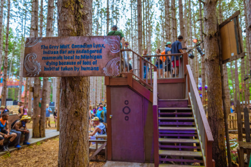 electricforestfest:Forest wisdom - words to live by. ✨...