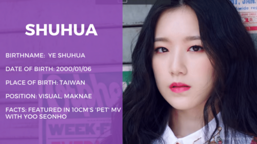 1soyeon-inactive:(G)I-dle member profiles 