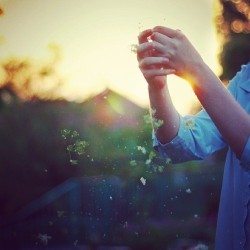 This picture.