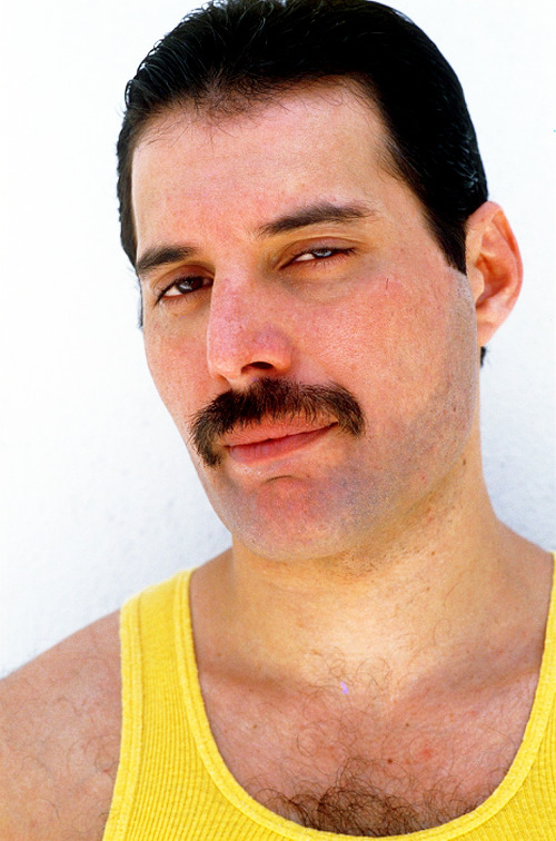 Moustache Freddie™ - Freddie Mercury