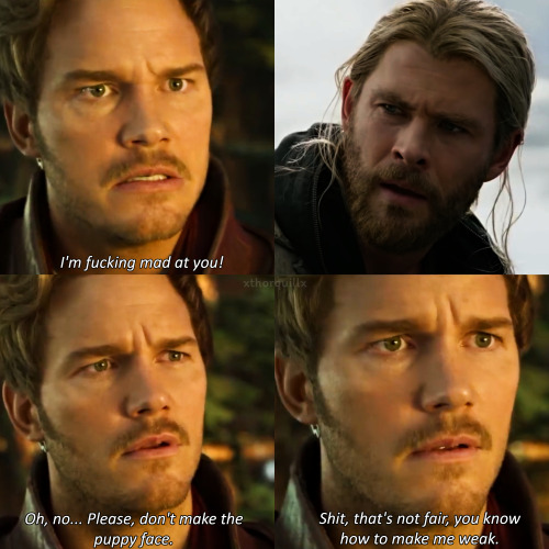 xthorquillx