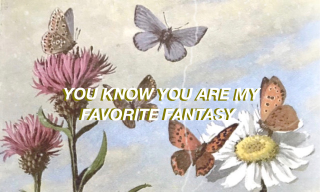 wildflower lyrics | Tumblr