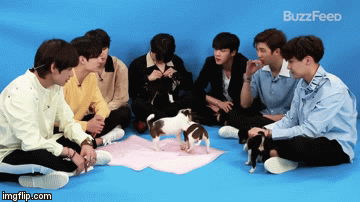 kimnamjoonahhh