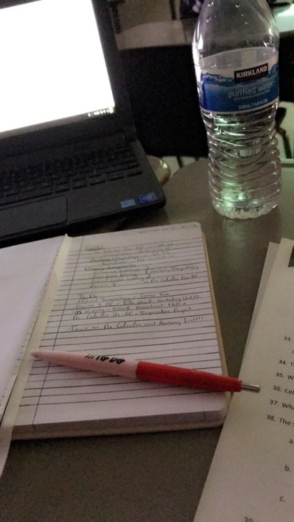backstagestudies