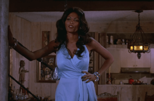 blackgirlfilmclub:Foxy Brown (1974): Outfits and Opening Credits