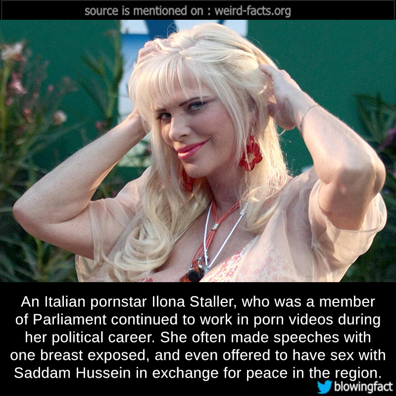 Italian Ilona Staller - Weird Facts, An Italian pornstar Ilona Staller, who was a...