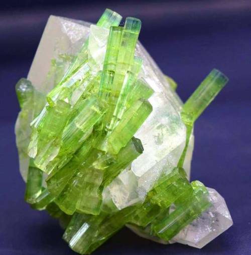 geologyin-blog:#Tourmaline #Crystals on #Quarts #Specimen from...