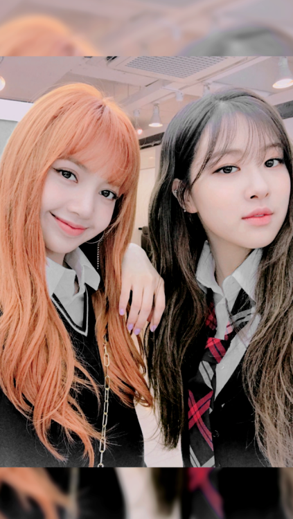 chaelisa on Tumblr