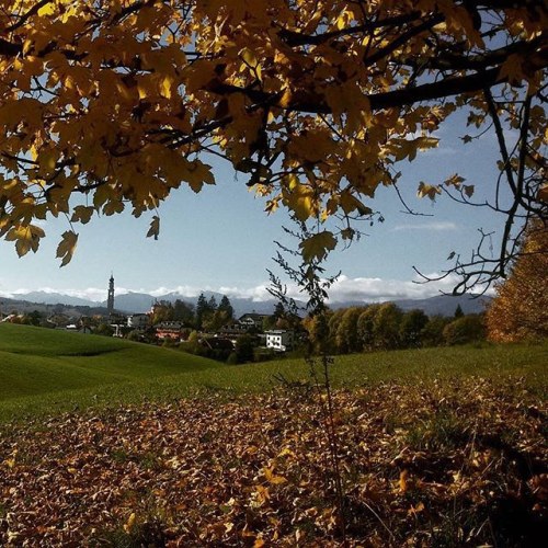 igersvicenza italy igersitalia vicenza igersveneto visitveneto canove veneto autumn italia landscape