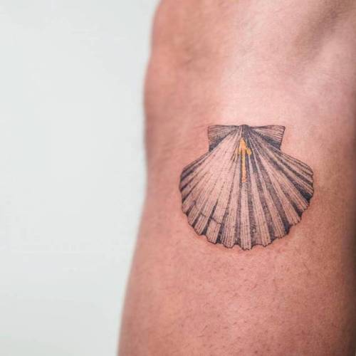 By Sol Tattoo, done in Seoul. http://ttoo.co/p/25042 spain;small;shell;patriotic;single needle;facebook;nature;forearm;twitter;ocean;soltattoo