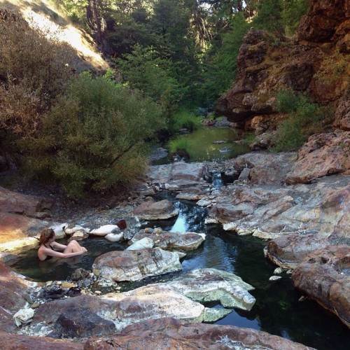 There are 4 hot sources at Crabtree #HotSprings, deep within the...