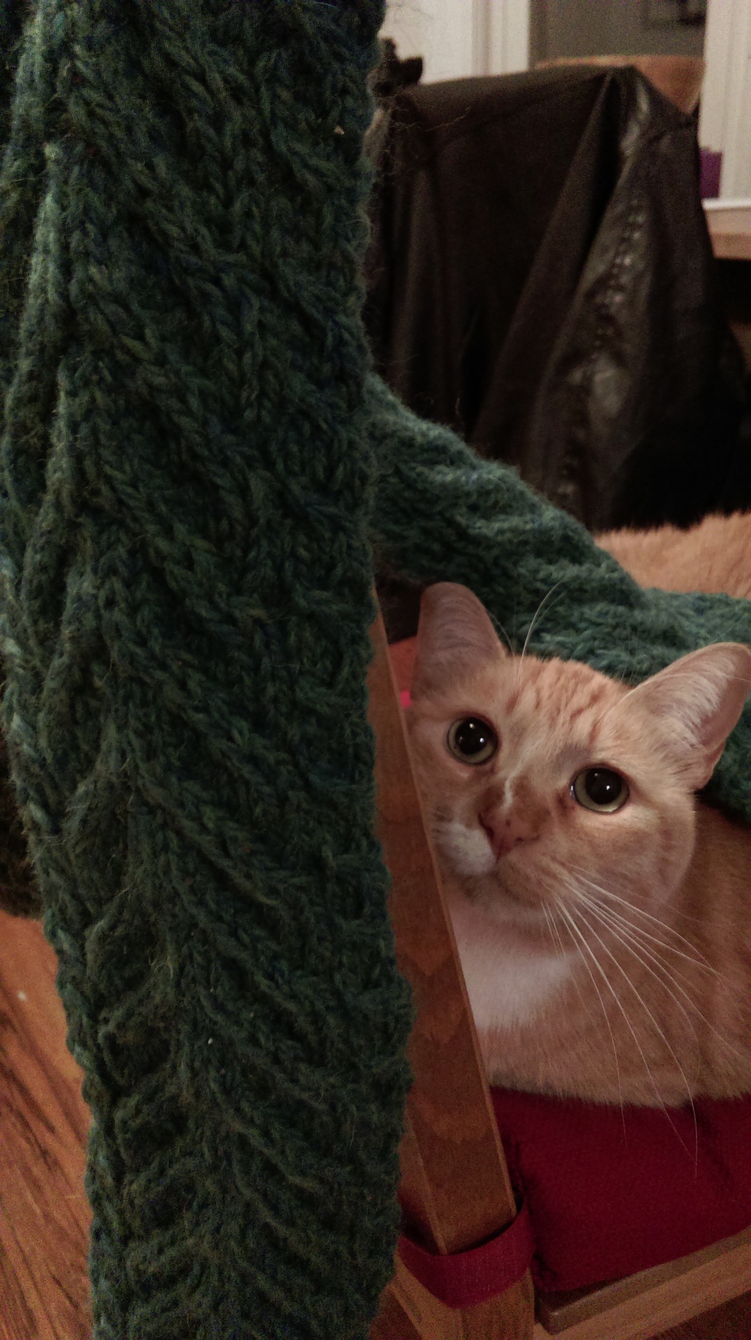 Download Staghorn Cable Scarf (pattern 1 of 2 based on a... - Haley Does Stuff