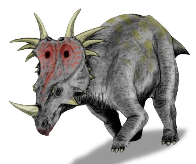 A Dinosaur A Day · Styracosaurus Albertensis