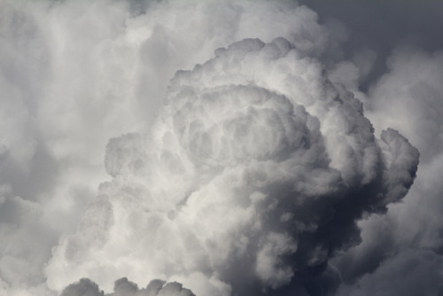 inlandwest:6 photos of a Cumulonimbus cloud over my house.