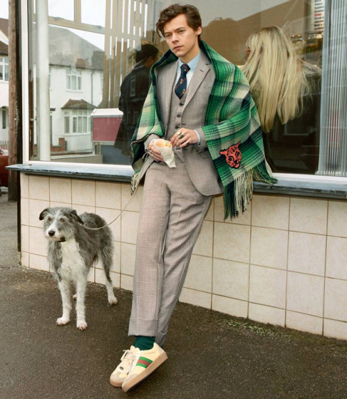 What about this latest editorial with Harry Styles for Gucci?...