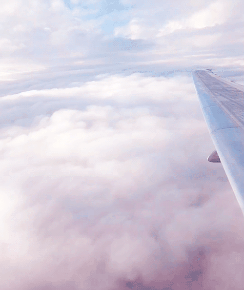 airplane gifs Tumblr
