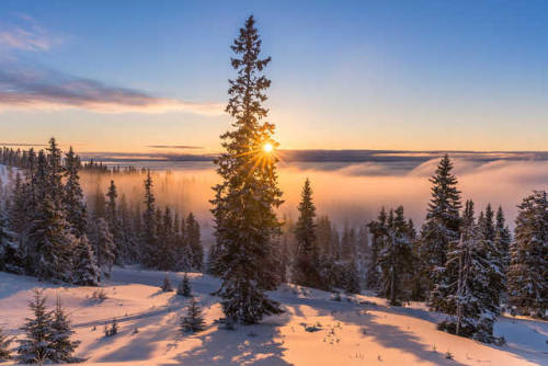 atraversso:Flawless Winter (photoset: by Jørn Allan...