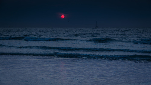 te5seract:Under The Red Sun, Dreaming Of The Sea...