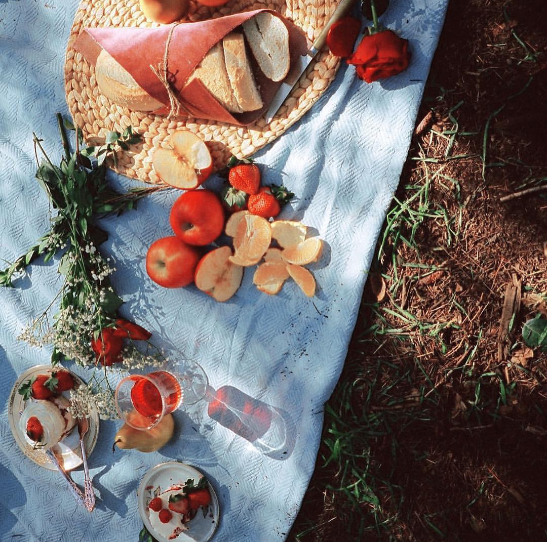 picnic on Tumblr