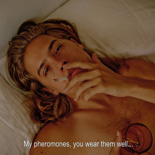 dylansprousesource:By : Sarah bah bah 