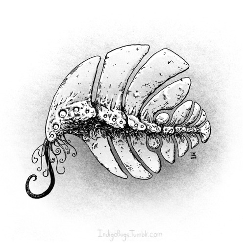 indigobugs:Inktober 3