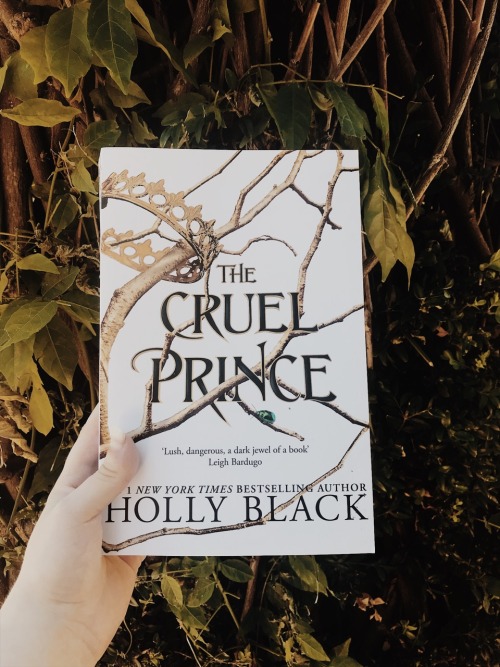 the cruel prince series book 4