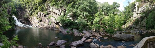 Tallulah Gorge in North GA is a must see! It’s such a fun...