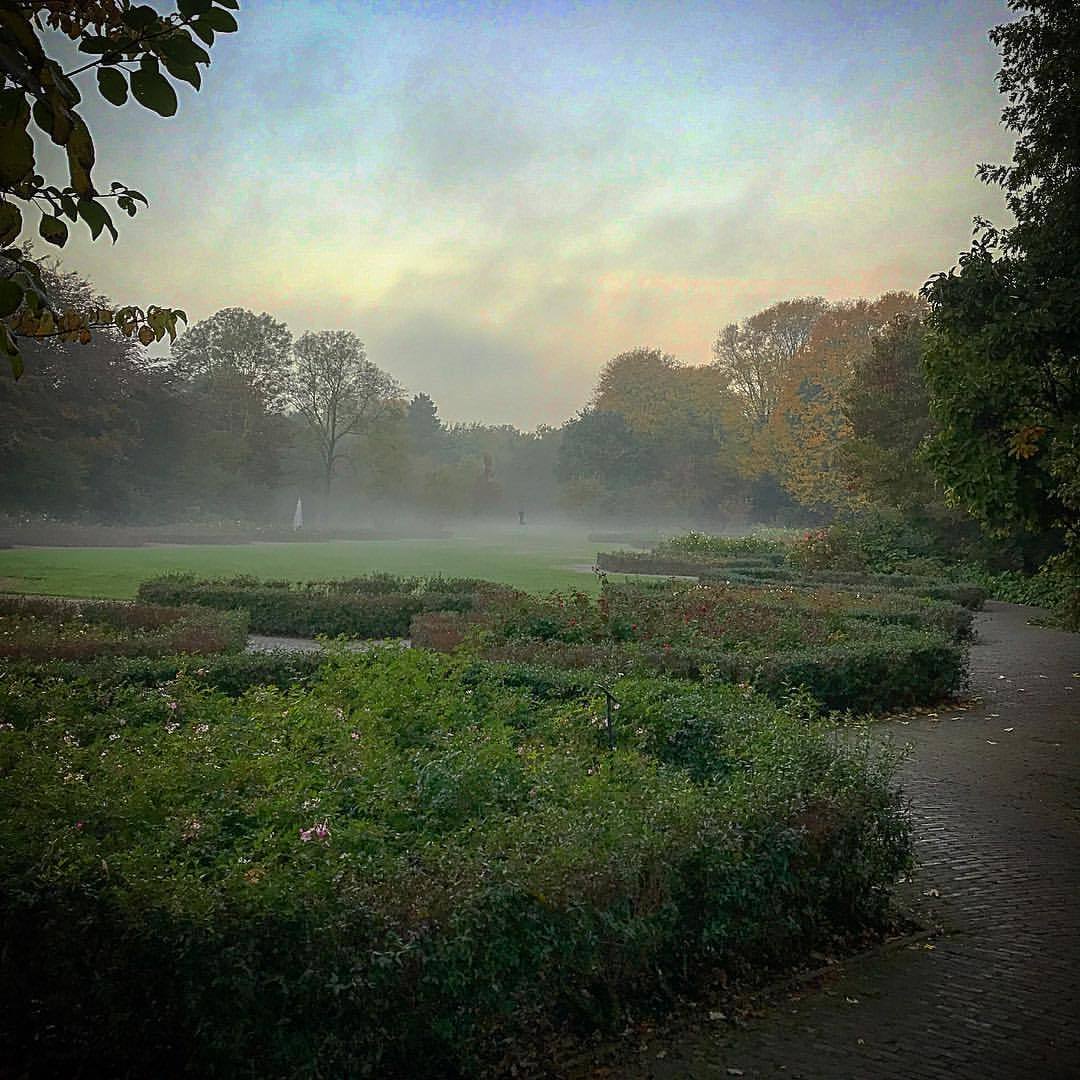 Vondelpark, Amsterdam. — Winter mists … time to head south ...