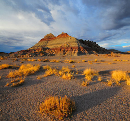 scenic-southwest:Petrified Forest National Park, Arizona