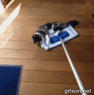 tumblr_nh0049ztdc1s0mbfho1_400.gifv