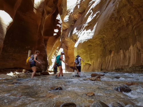 The Narrows - Zion National Park, Utah, United States