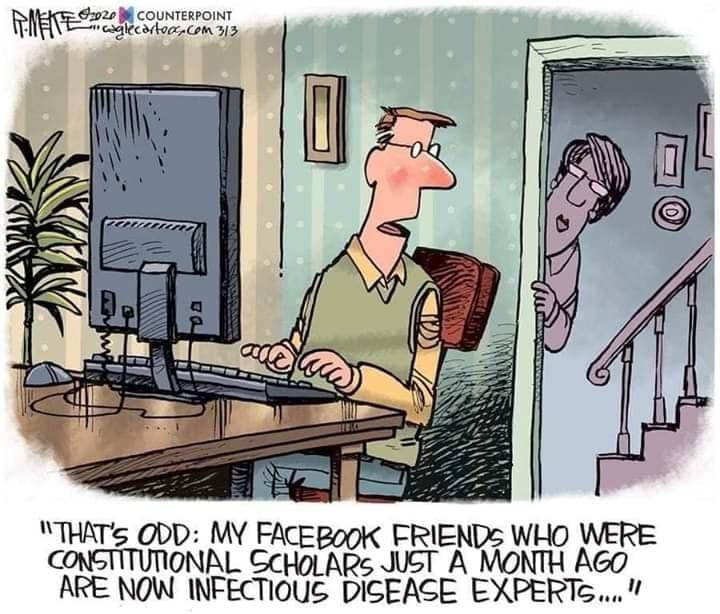 Man at computer to wife:  That's odd.  My Facebook friends who were Constitutional scholars a week ago are now infectious disease experts.