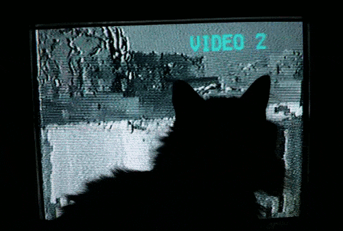 glitchphotography