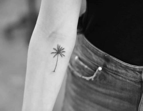 By Drag, done at Bang Bang Tattoo, Manhattan.... tree;small;tiny;palm tree;ifttt;little;nature;drag;inner forearm;illustrative