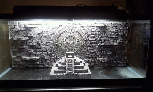 Unduh 850 Background Aquarium Homemade Gratis Terbaik