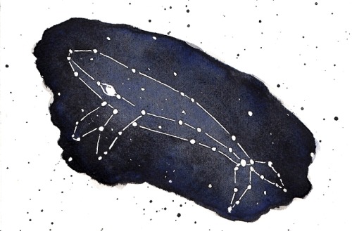 whale constellation