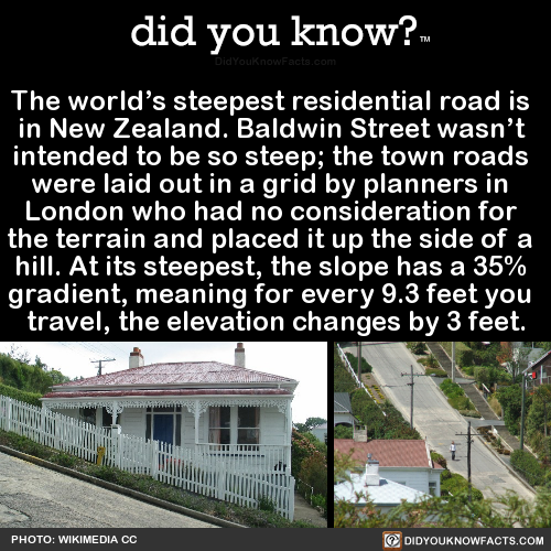 the-worlds-steepest-residential-road-is-in-new