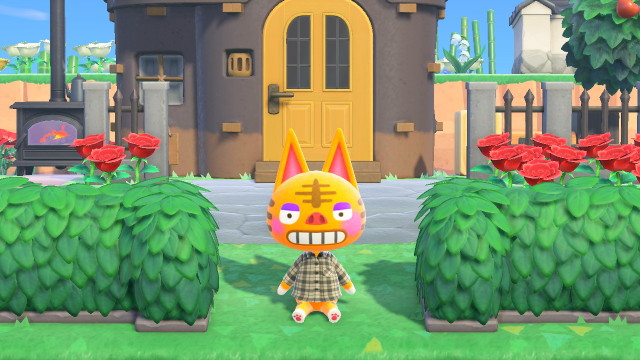 animal crossing tabby | Tumblr