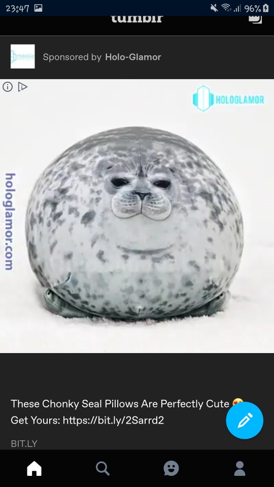 chonky seal pillow amazon