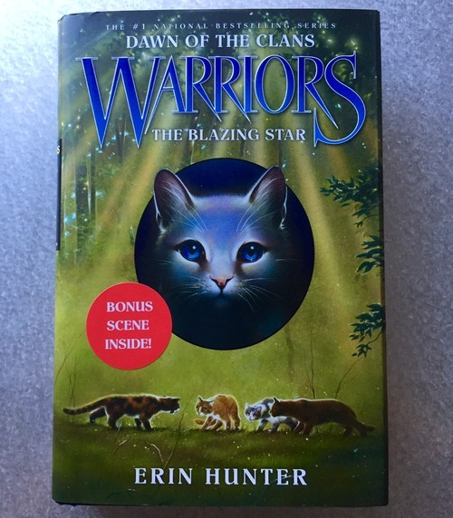 Parker's Book Reviews — Warriors: Dawn of the Clans: The Blazing Star by...