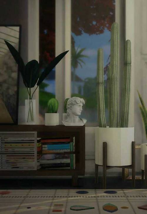 hommes-sims