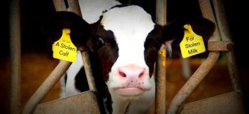 ditchdairy00:Every single minute of every single day, there...