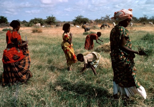 urbannoir:Chris Steele-Perkins Somalia. Ogaden desert....